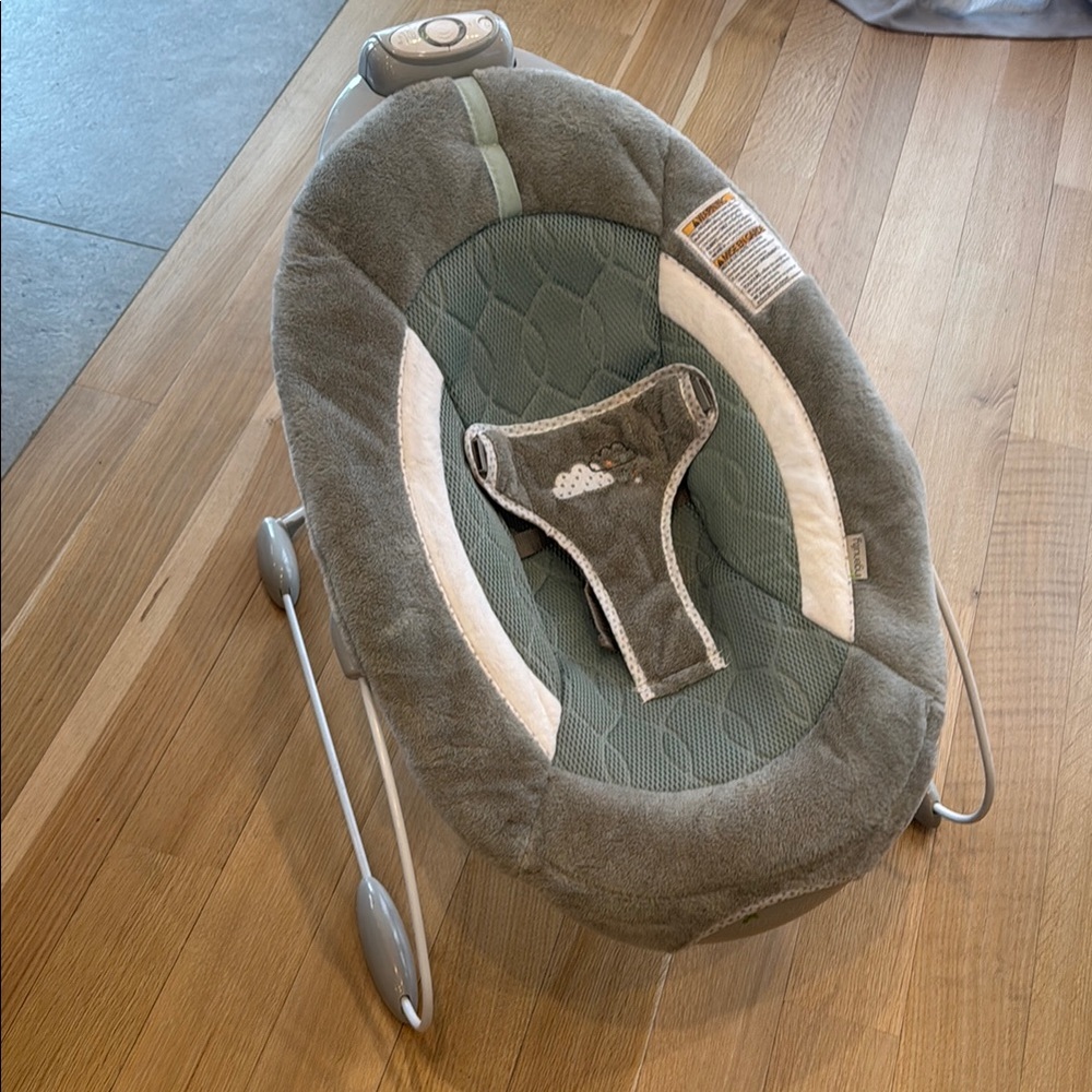 Cozy Green and Gray Baby Rocker